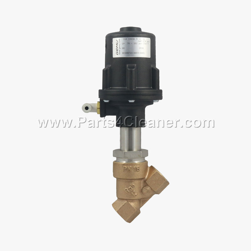 1/2" STEAM VALVE (PM10161-G)
