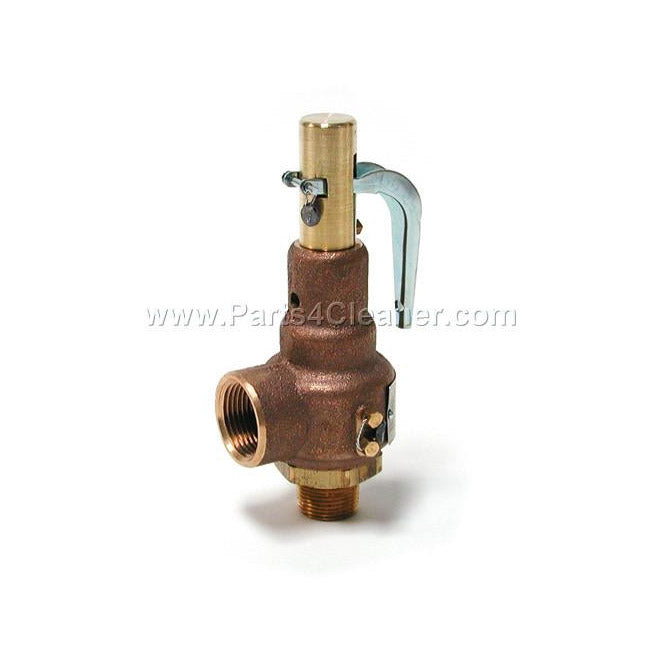 SAFETY VALVE, 100-125 PSI  (PW60008, PW60007)